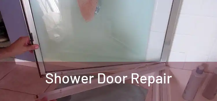 Shower Door Repair